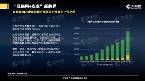 互聯網銷售助推農業轉型，粵閩農副產品電商企業突破4萬家占全國近兩成