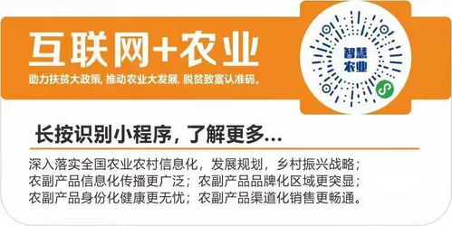 數(shù)字翅膀助農(nóng)飛，互聯(lián)網(wǎng)+農(nóng)業(yè)打通鄉(xiāng)村振興新銷路